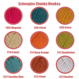 Scheepjes Chunky Monkey 100g