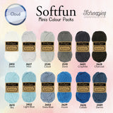 Scheepjes Softfun Colour Pack 12x20g