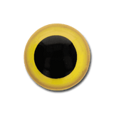 Dierenogen - veiligheidsogen tweekleurig