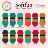 Scheepjes Softfun Colour Pack 12x20g