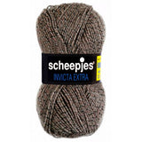 Scheepjes Invicta extra 50g